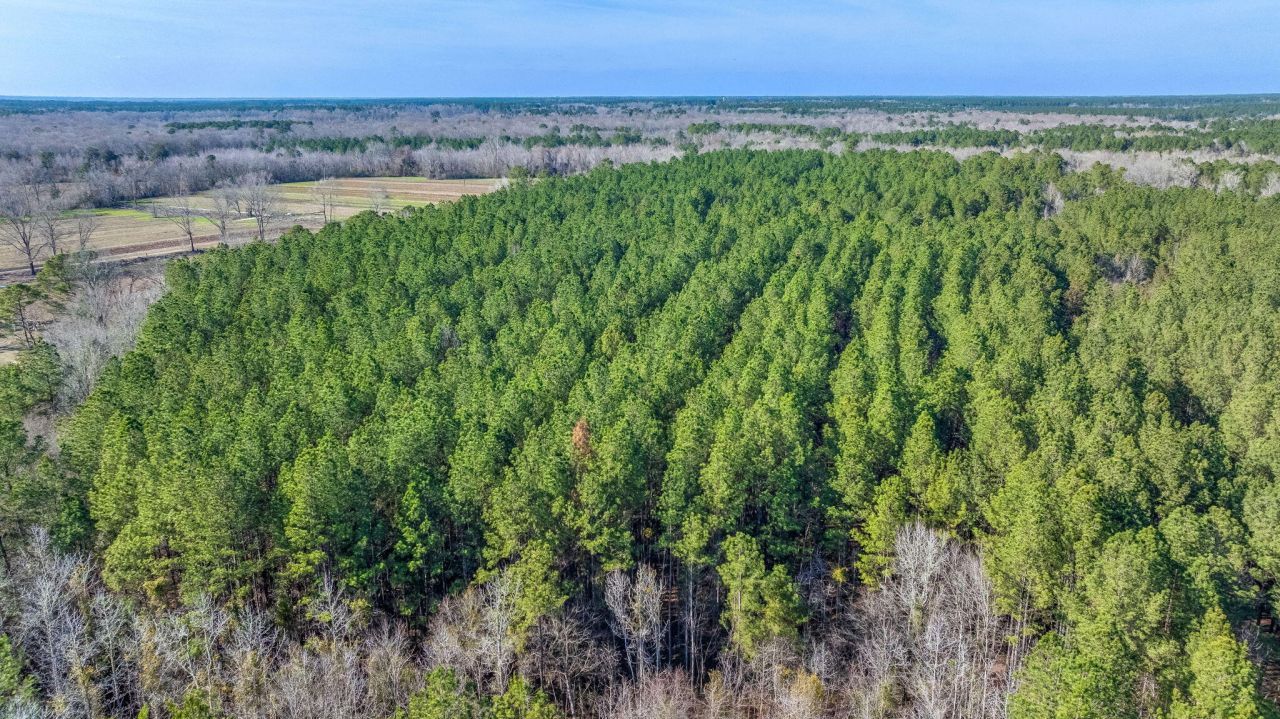 0 Lowcountry Highway Photo 11