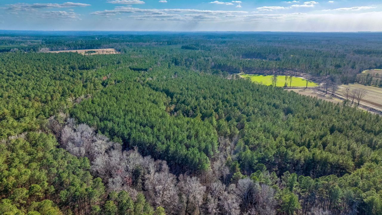 0 Lowcountry Highway Photo 12