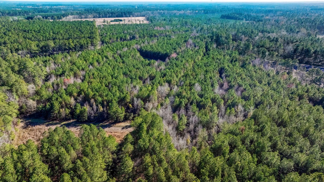 0 Lowcountry Highway Photo 13