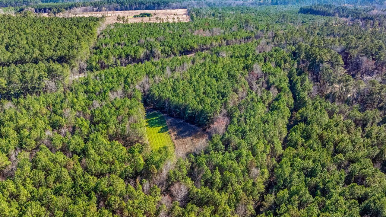 0 Lowcountry Highway Photo 14