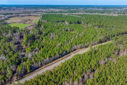 0 Lowcountry Highway photo 4