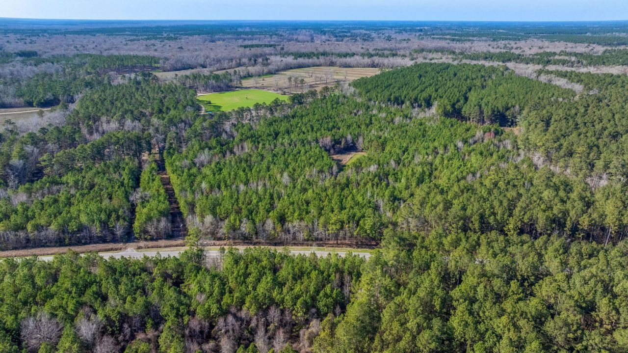 0 Lowcountry Highway Photo 5