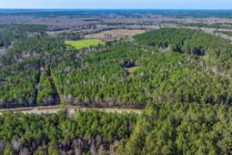 0 Lowcountry Highway photo 4