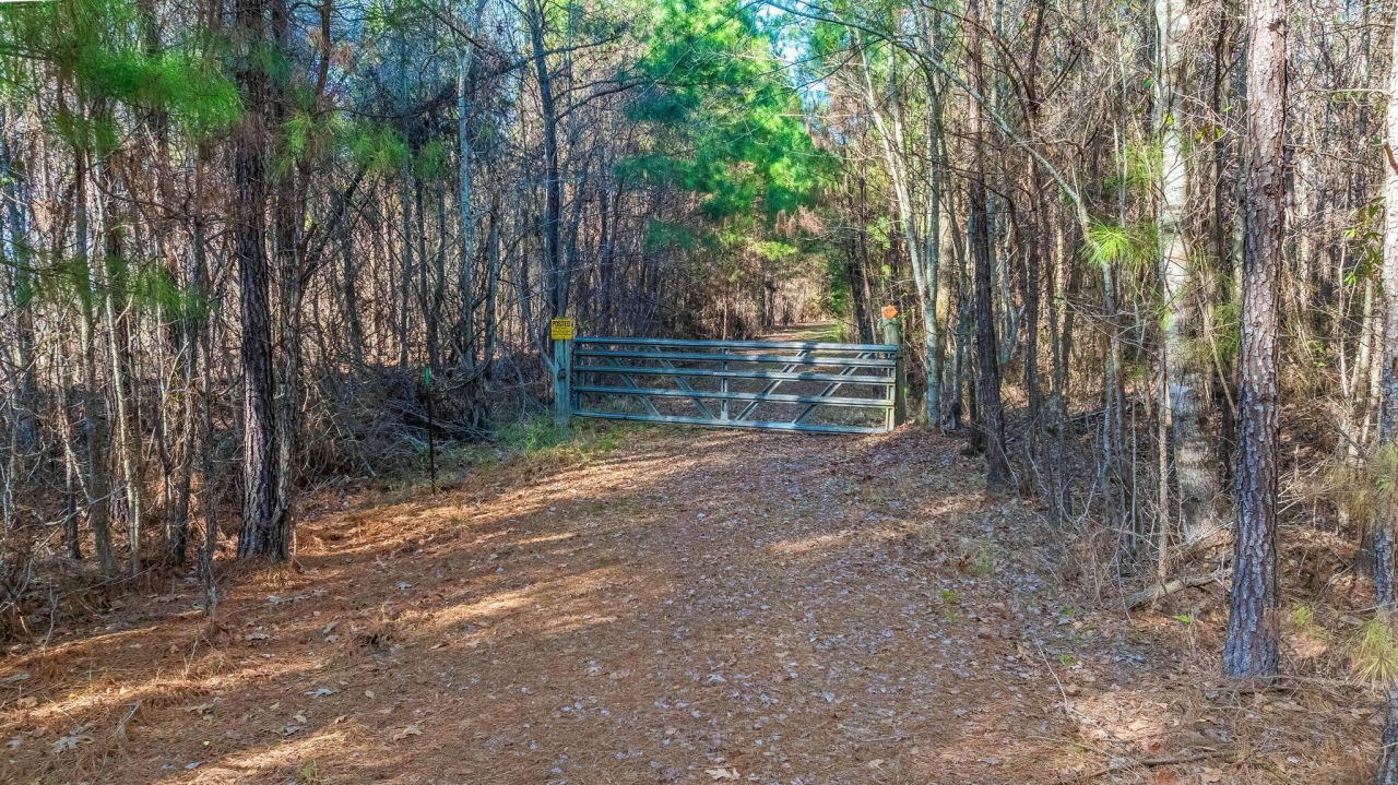 0 Lowcountry Highway Photo 7