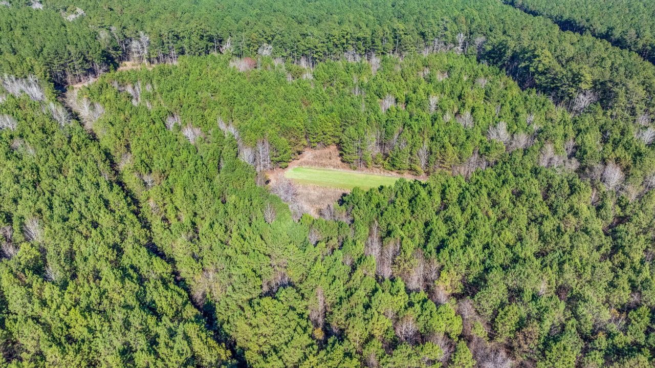 0 Lowcountry Highway Photo 8