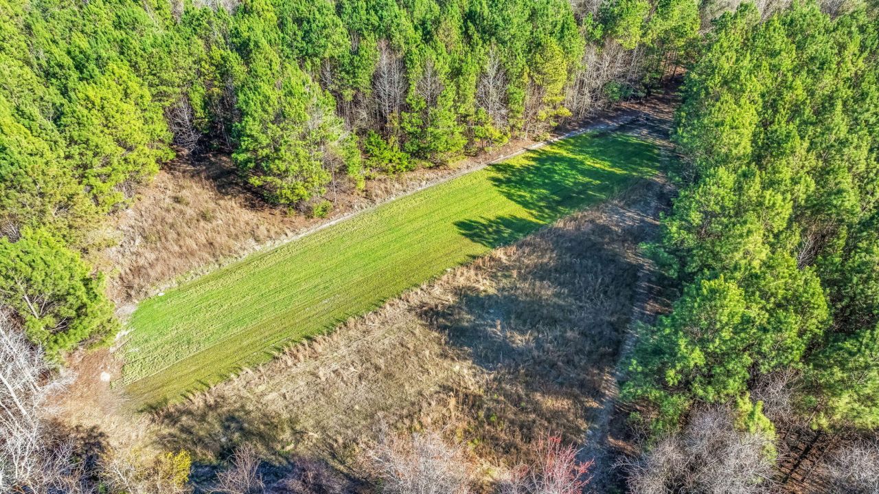 0 Lowcountry Highway Photo 9