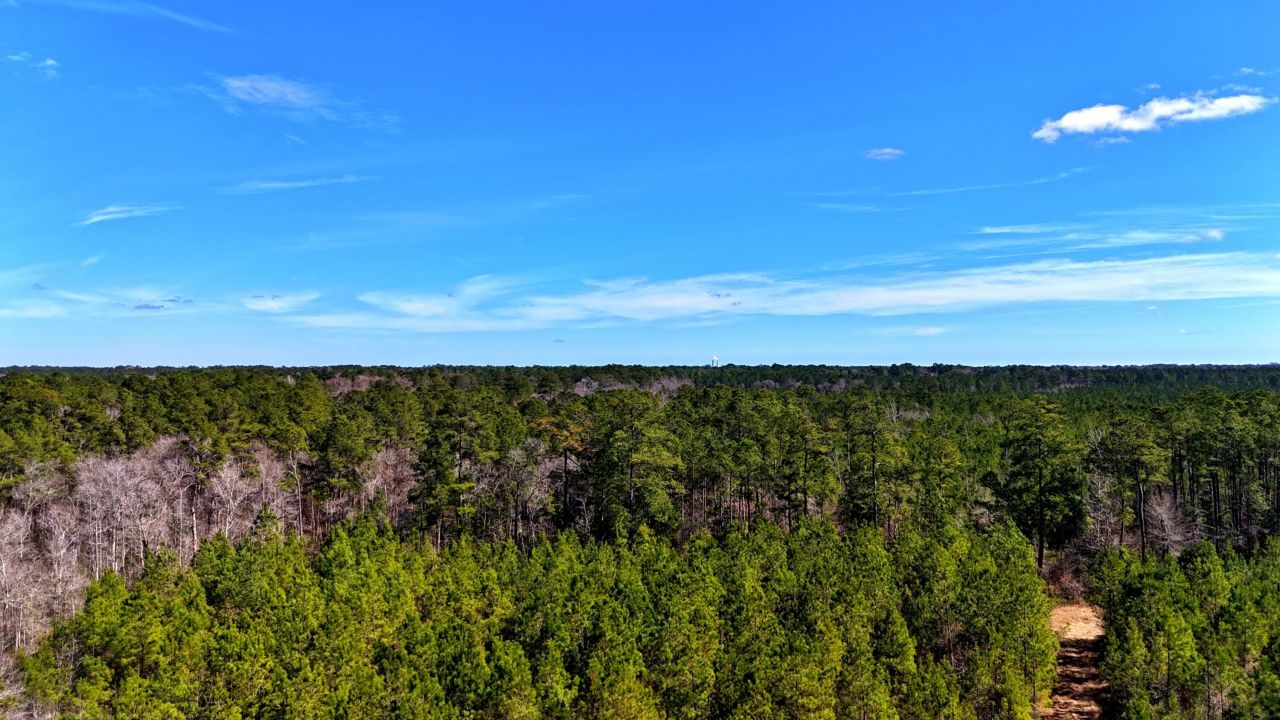 1837 Columbus Road Photo 10