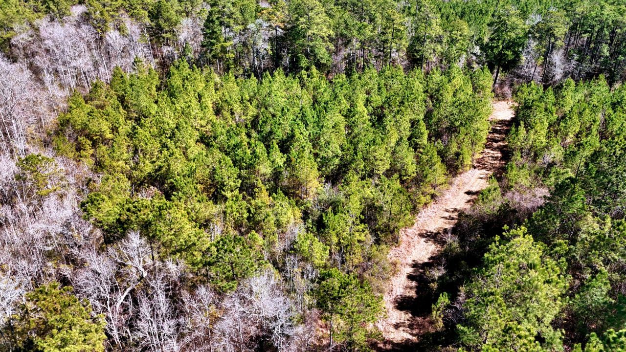 1837 Columbus Road Photo 11