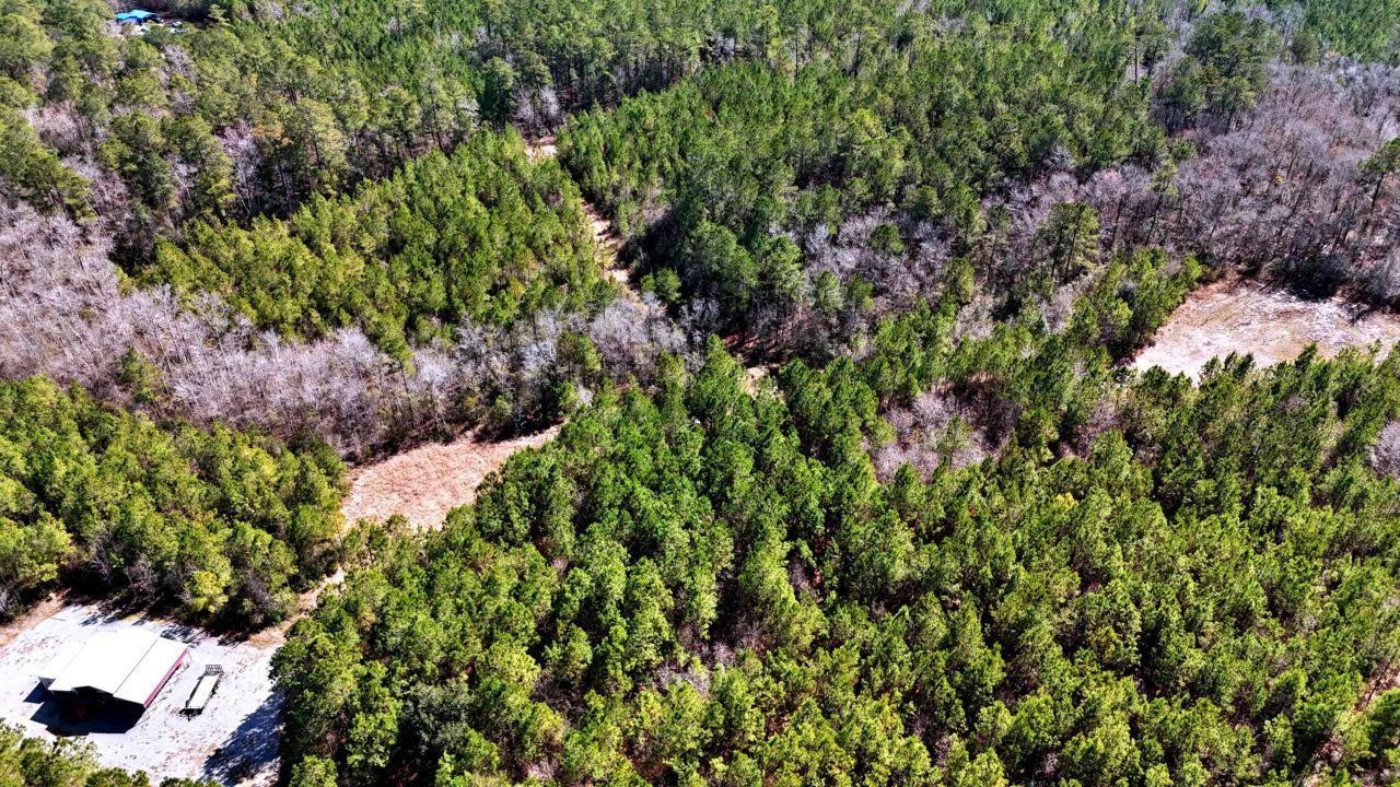 1837 Columbus Road Photo 16