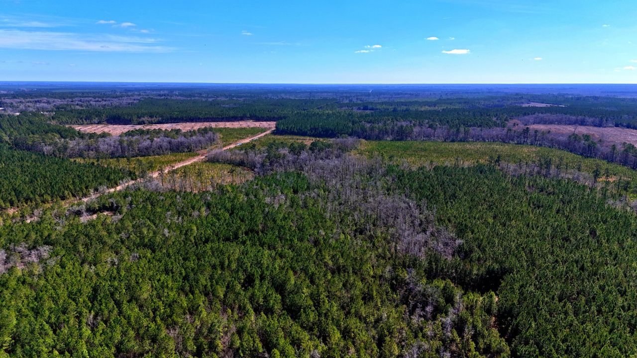 1837 Columbus Road Photo 19