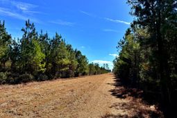 1837 Columbus Road photo 4