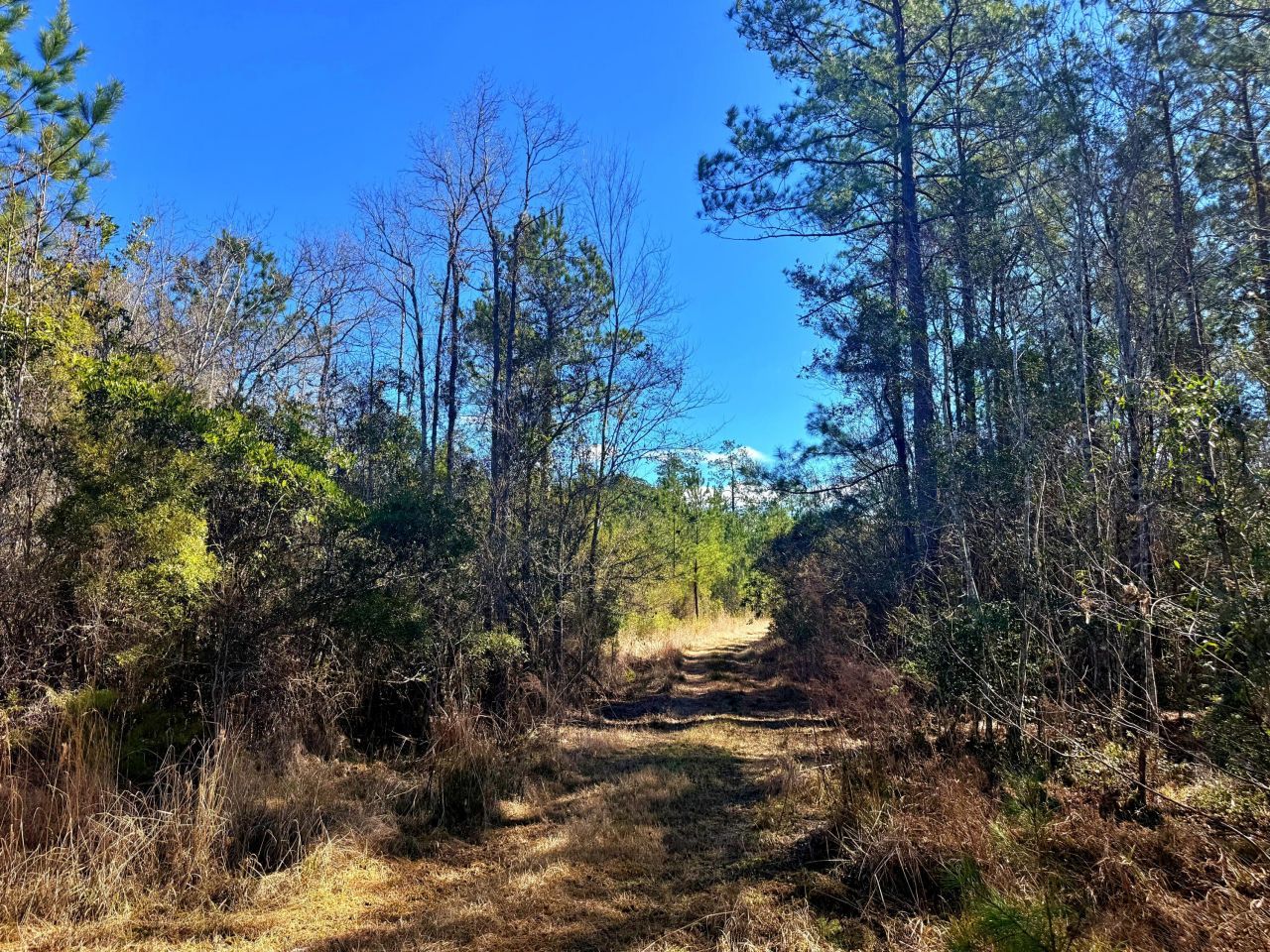 1837 Columbus Road Photo 23