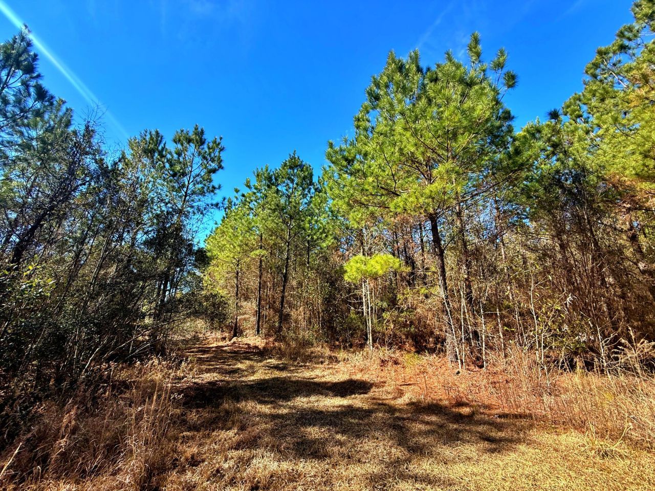 1837 Columbus Road Photo 24