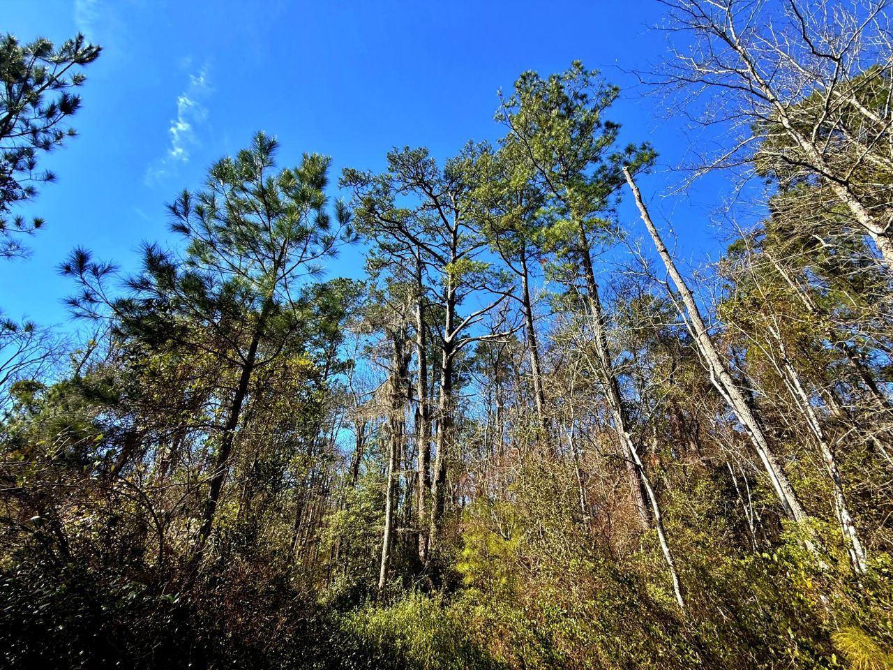 1837 Columbus Road Photo 25