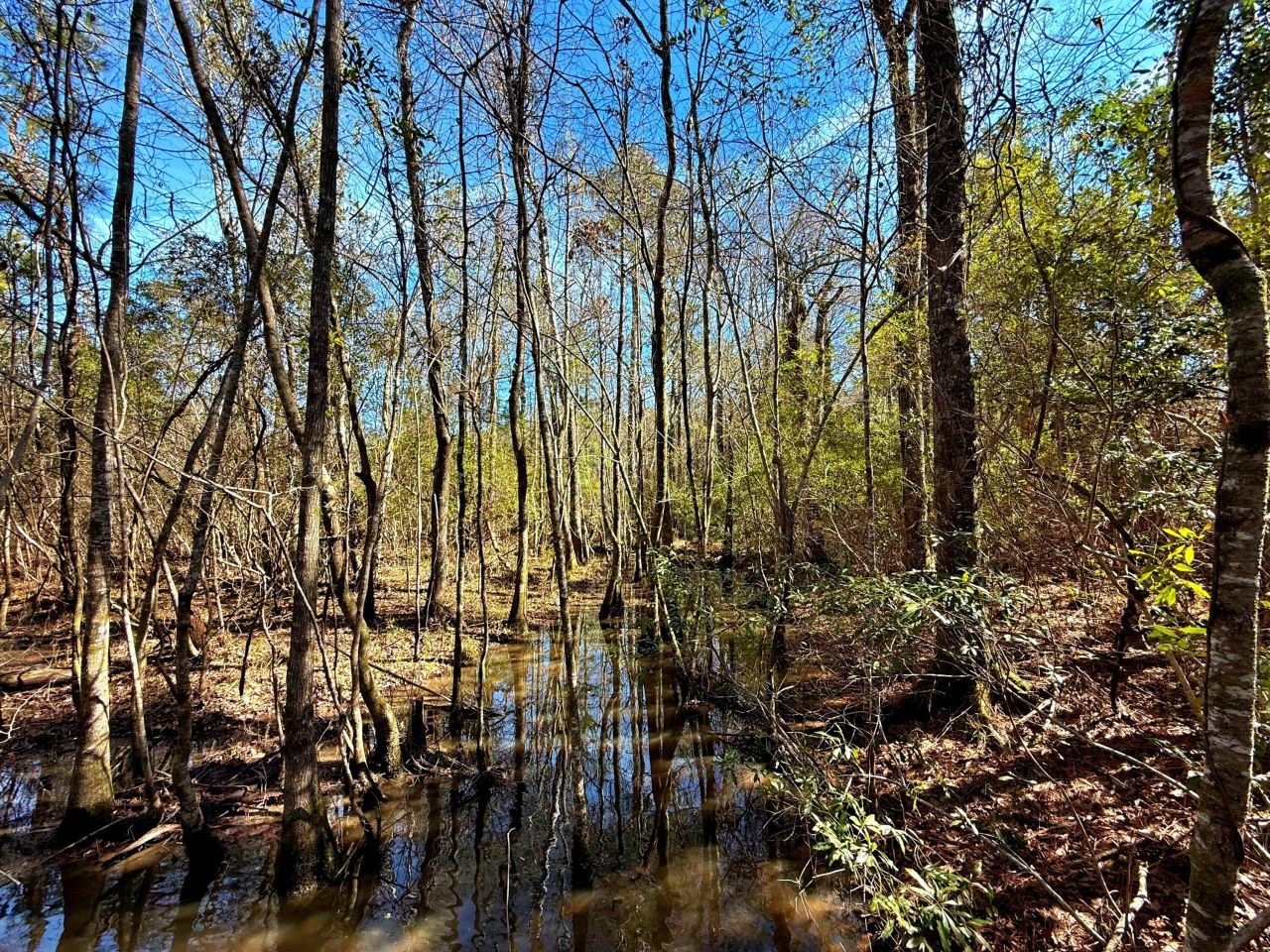 1837 Columbus Road Photo 26