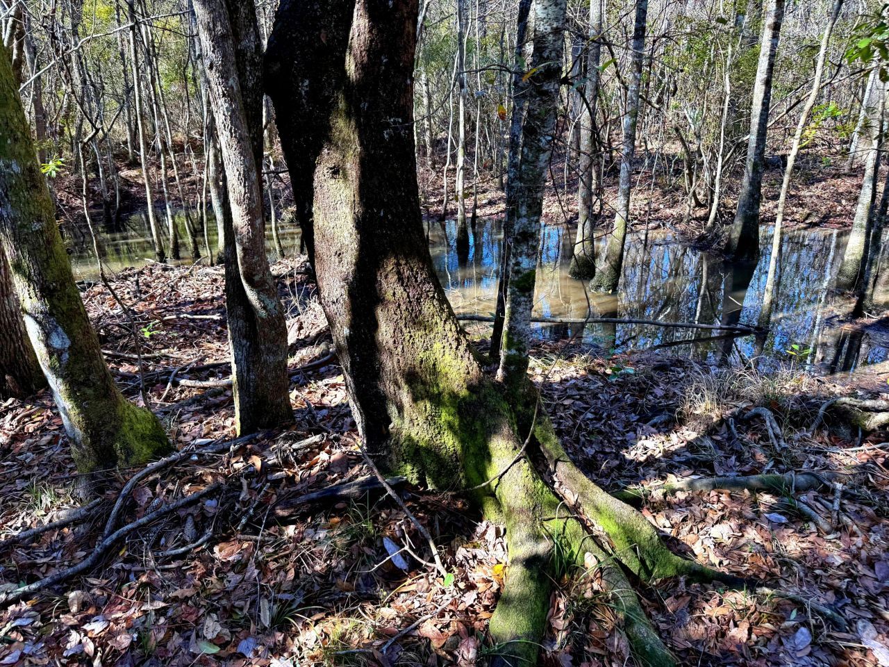 1837 Columbus Road Photo 27