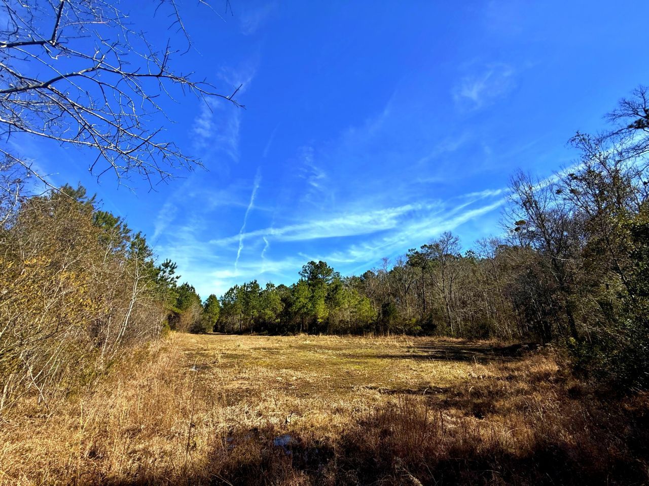 1837 Columbus Road Photo 28