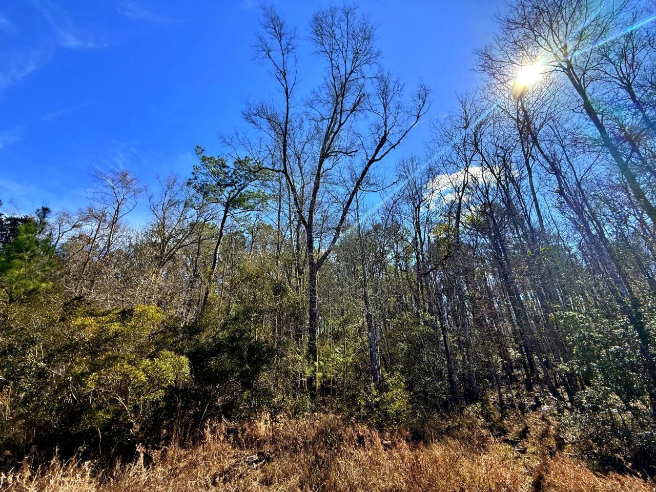 1837 Columbus Road Photo 29