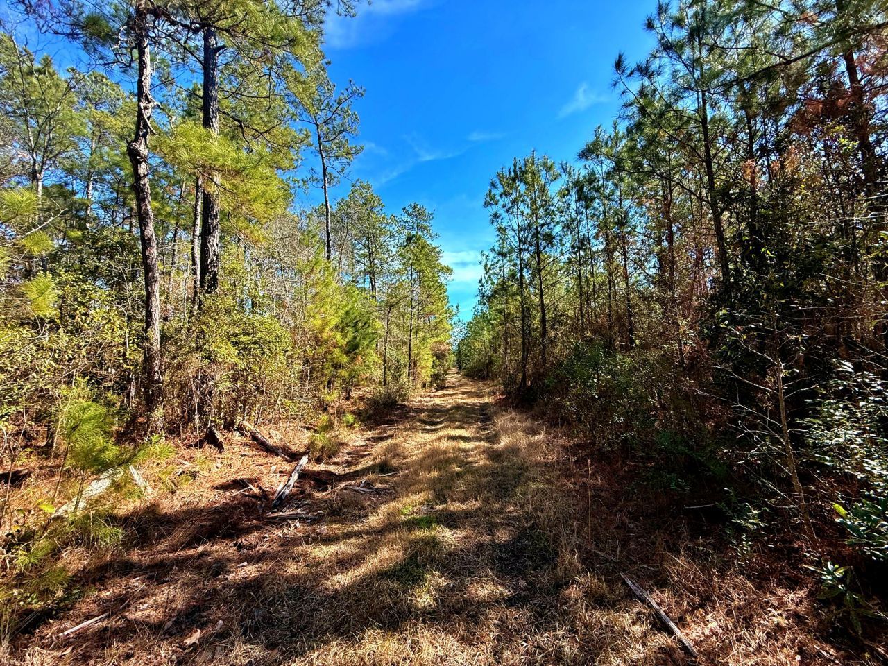 1837 Columbus Road Photo 30