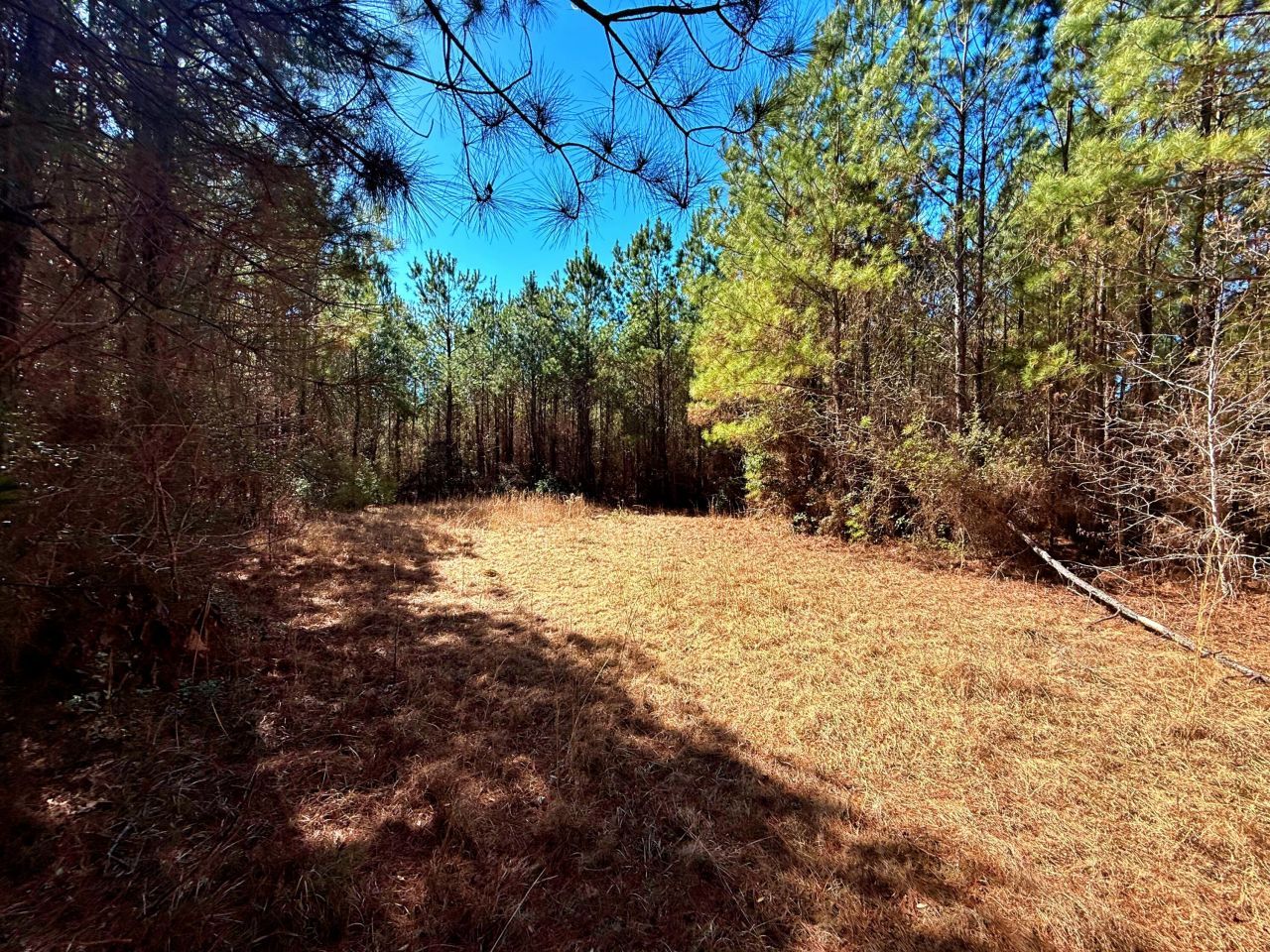 1837 Columbus Road Photo 31