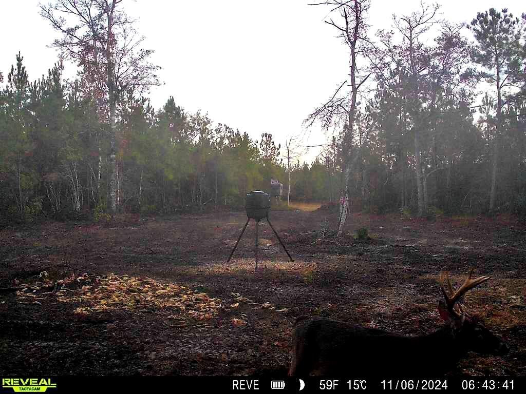 1837 Columbus Road Photo 33