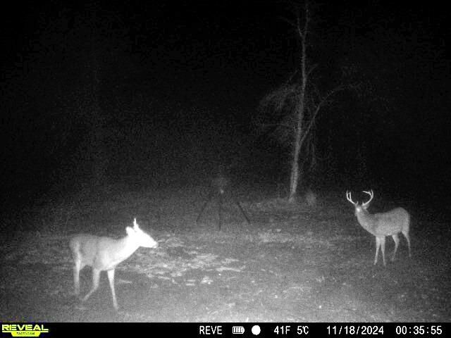 1837 Columbus Road Photo 34