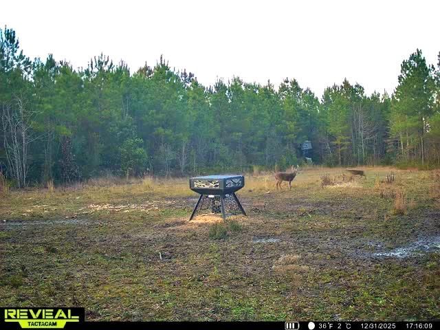 1837 Columbus Road Photo 35