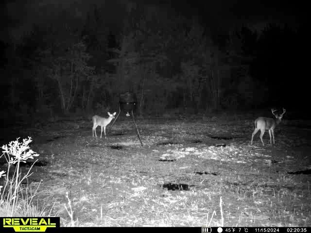 1837 Columbus Road Photo 36