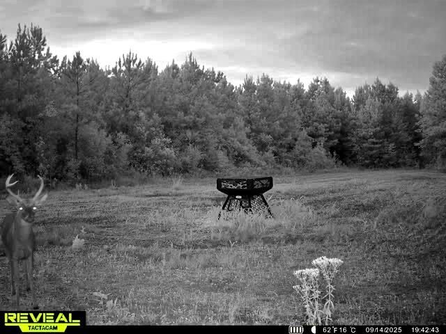 1837 Columbus Road Photo 37