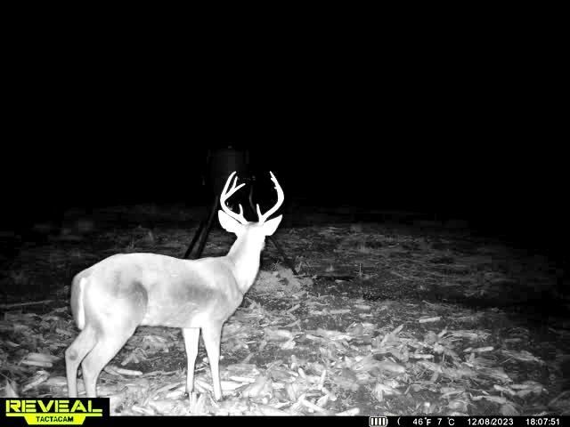 1837 Columbus Road Photo 38