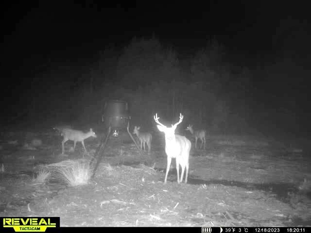 1837 Columbus Road Photo 39