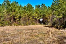 1837 Columbus Road photo 4