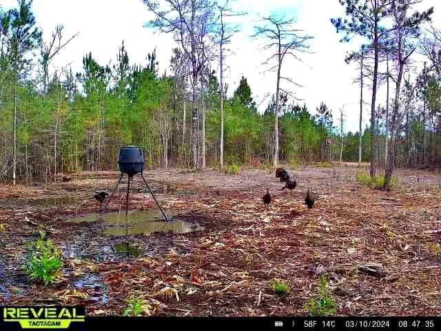 1837 Columbus Road Photo 41