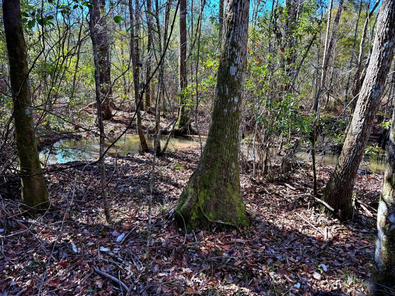 1837 Columbus Road Photo 5