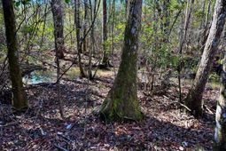 1837 Columbus Road photo 4