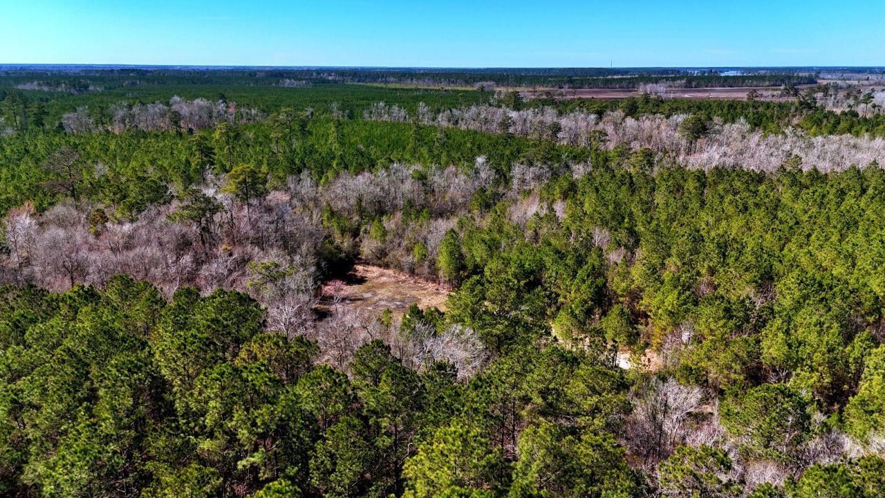 1837 Columbus Road Photo 6