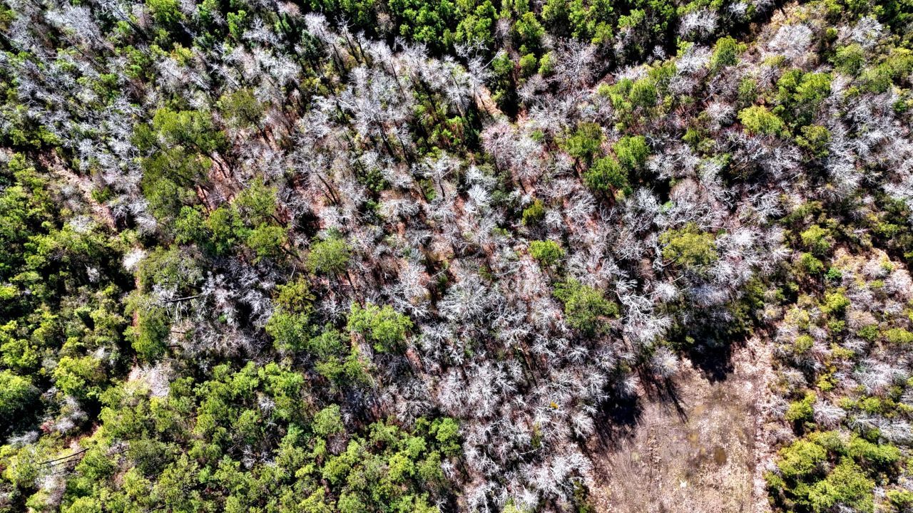 1837 Columbus Road Photo 8