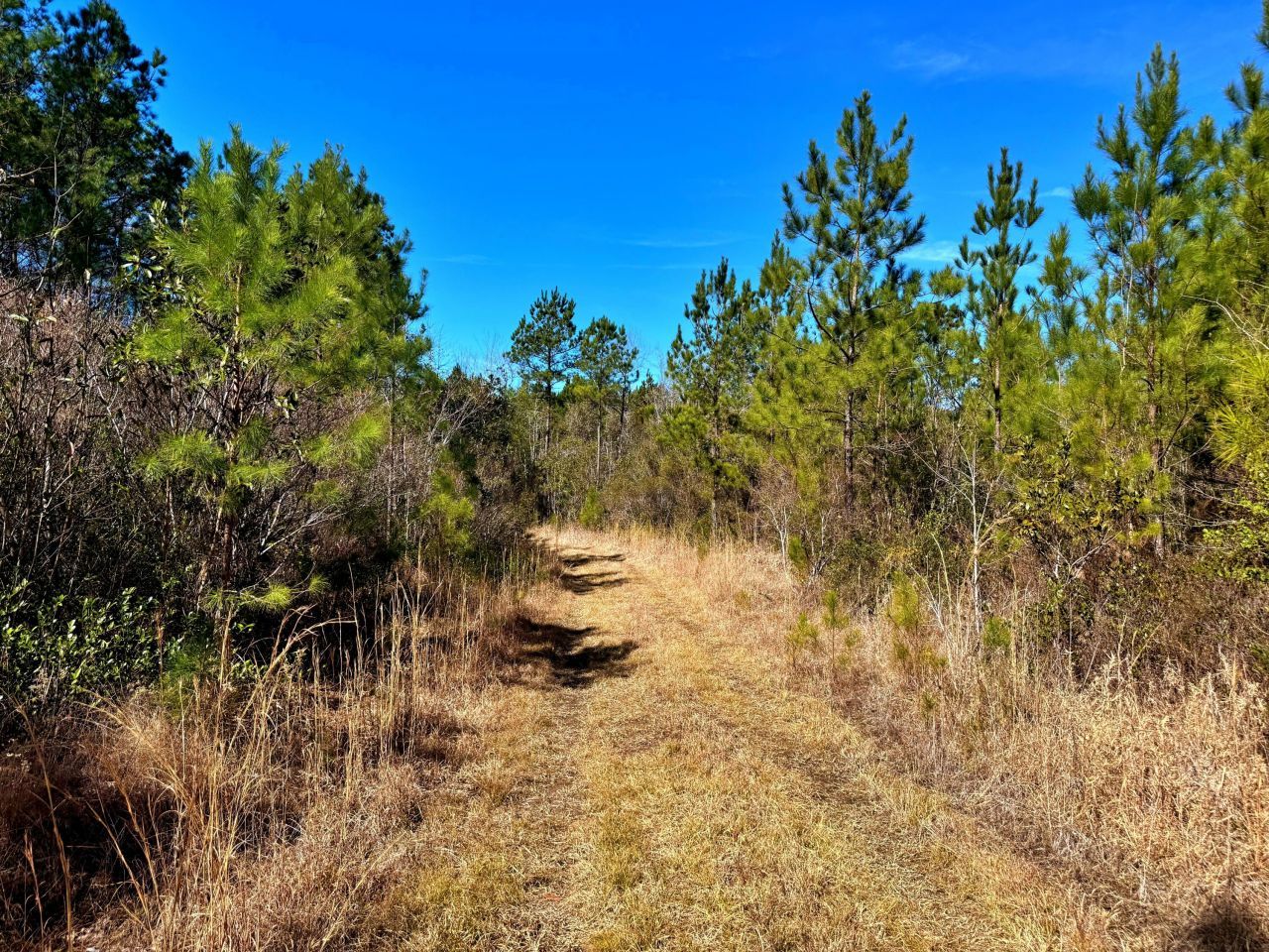 1837 Columbus Road Photo 9