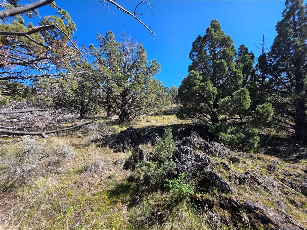 39 Blk 8 Lot 39 Katrina Dr Drive, Montague, CA 96064 Main Photo
