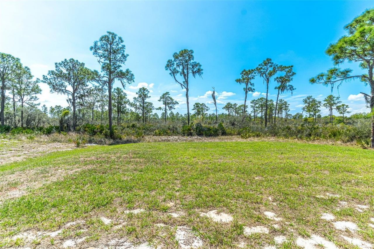 1411 Bittersweet Street , Lake Placid, FL 33852 Photo