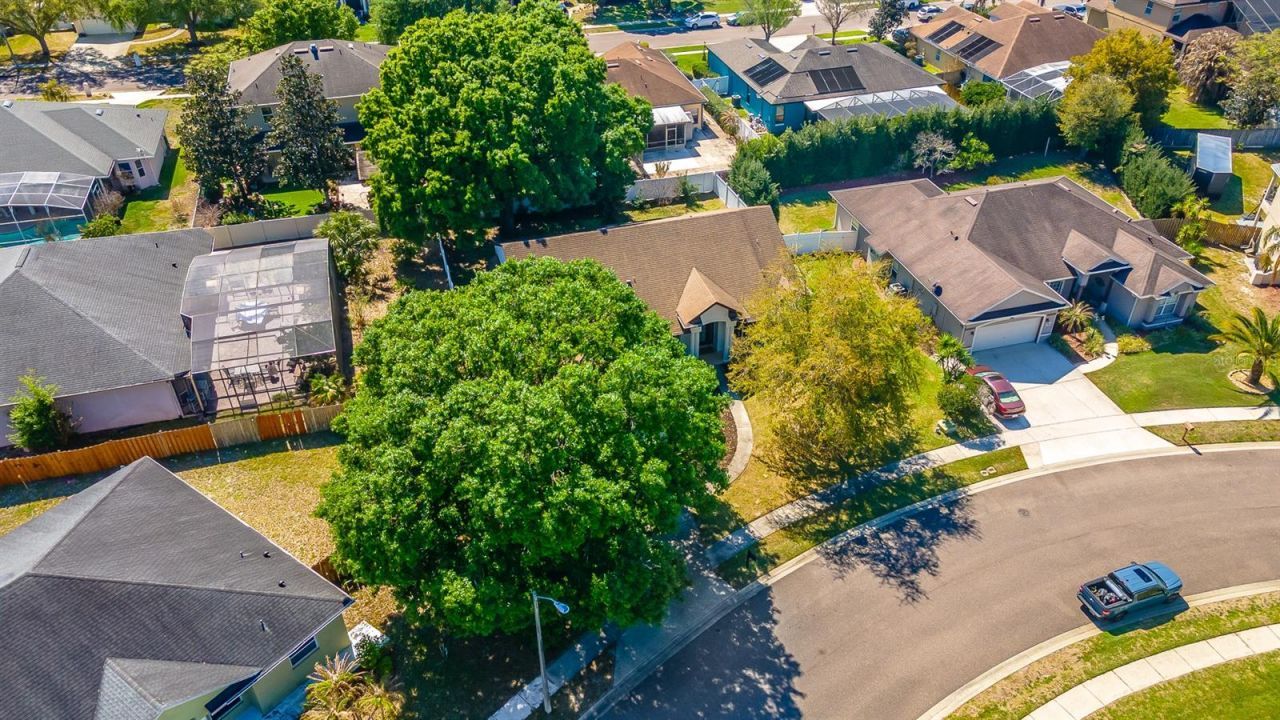 987 Kerwood Circle, Oviedo, FL 32765 Photo