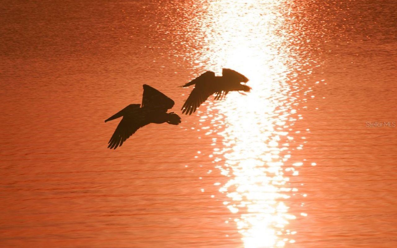 6800 Gulf Of Mexico Drive , Unit 184, Longboat Key, FL 34228 Photo