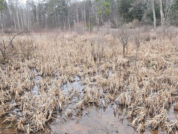 Hardys Road, Gainesville, NY 14066