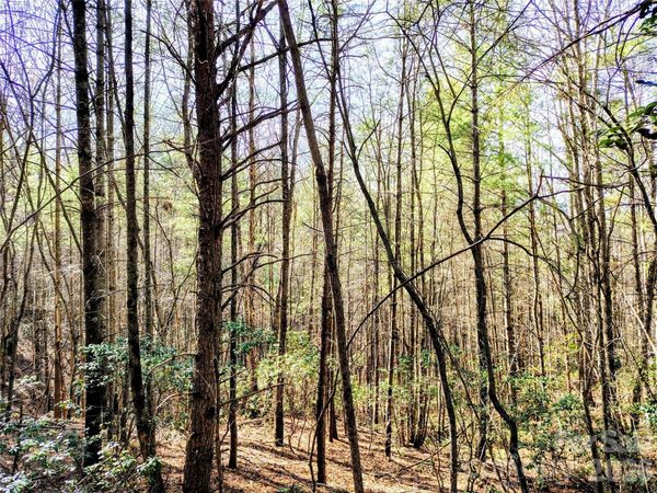 10 Acres Tahoe Trail , Collettsville, NC 28611