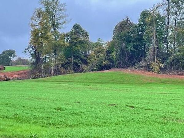 00 Medon Malesus Road , Medon, TN 38356