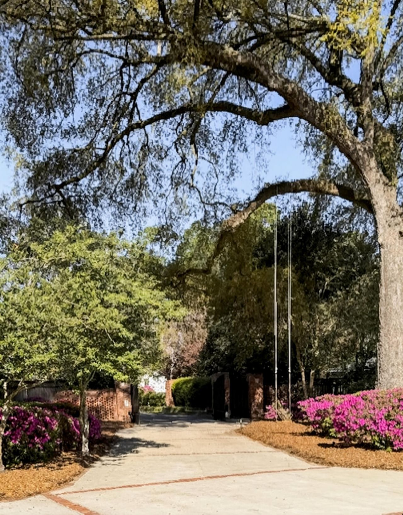 113 Tea Farm Road Photo 80