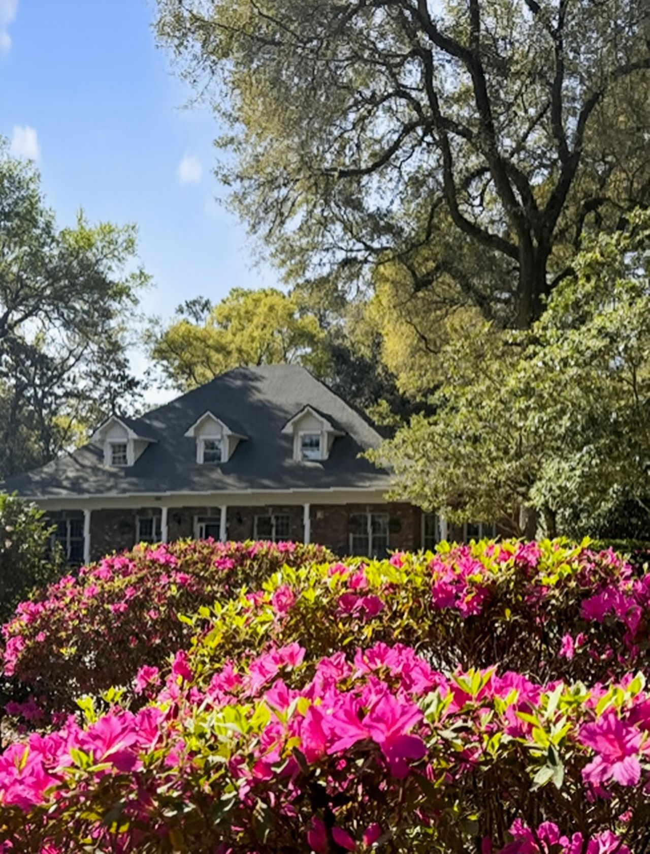 113 Tea Farm Road Photo 81