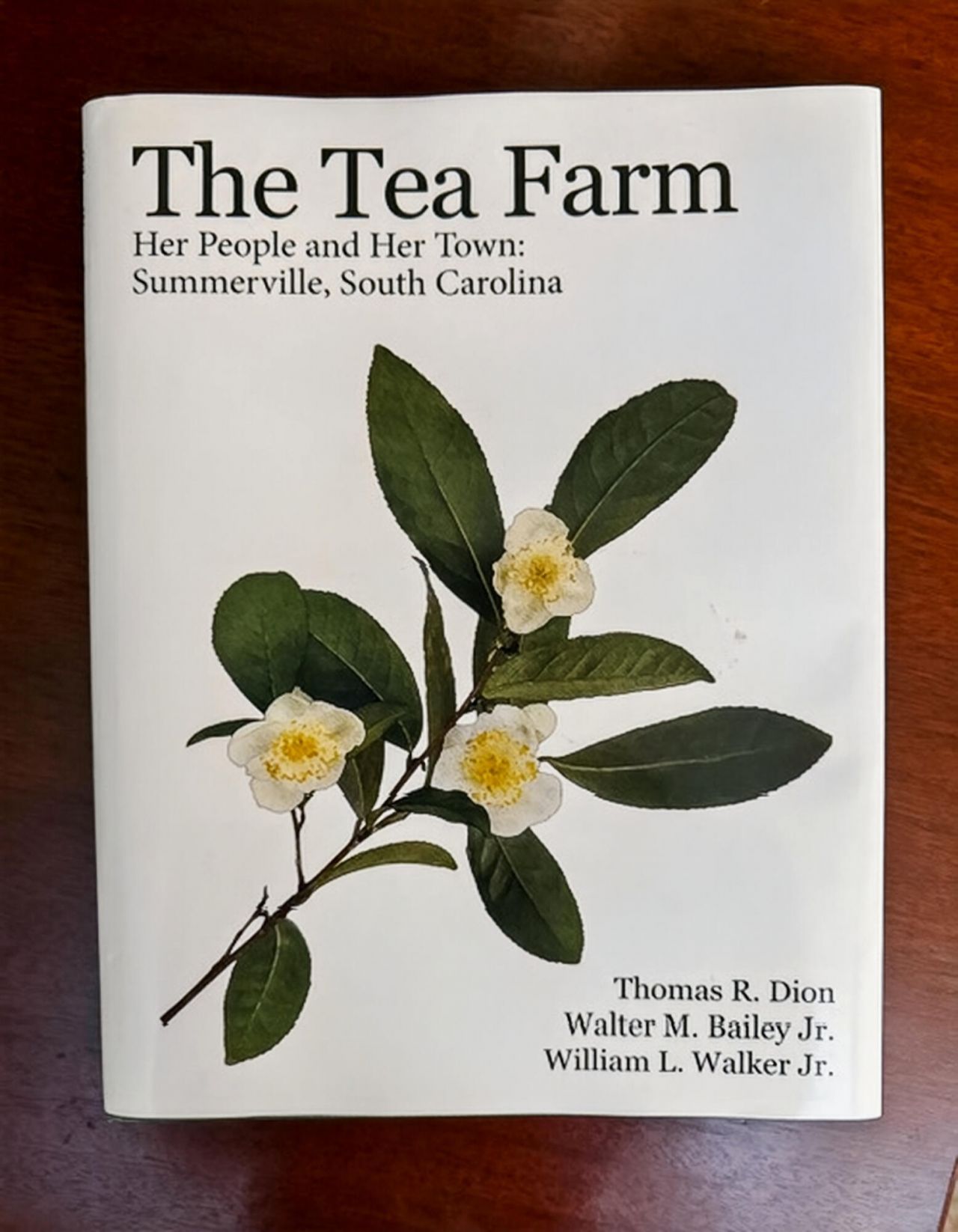 113 Tea Farm Road Photo 89