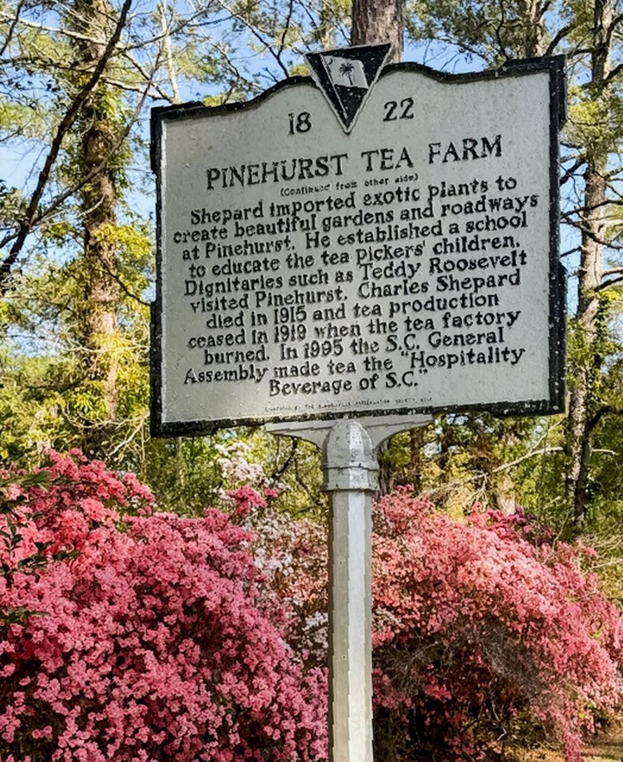 113 Tea Farm Road Photo 90