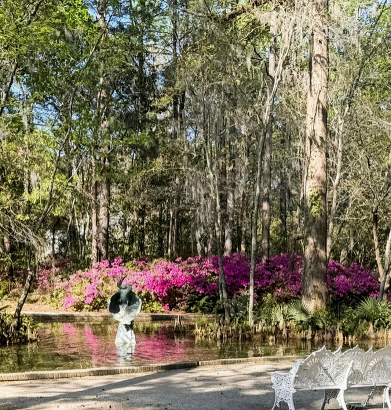 113 Tea Farm Road Photo 96